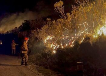 Bombeiros do Rio combatem 460 focos de incêndio em um dia