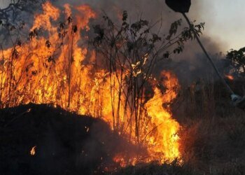 MPF aciona justiça para contratação de brigadistas contra incêndios