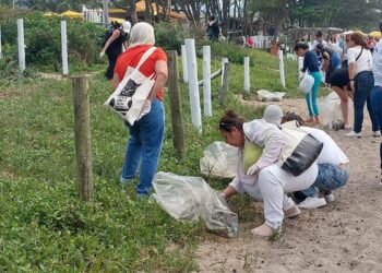 SP: mutirão de limpeza chama atenção sobre descarte adequado do lixo