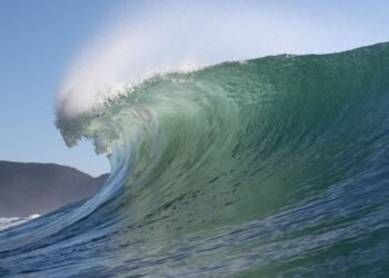 Quatro praias são eleitas para se tornarem santuário do surfe nacional
