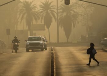 Ato em SP conclama para medidas de mitigação da emergência climática