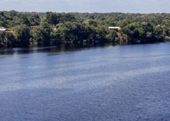 Hoje é Dia: Amazônia, mulher indígena e independência são destaques