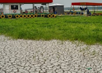 Seca de rios favorece caça e pesca ilegais na Amazônia