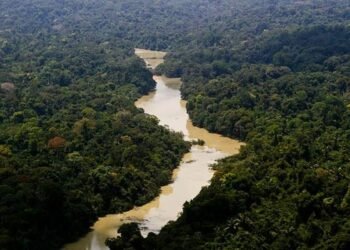 Governo entra com primeira ação por danos climáticos contra a Amazônia