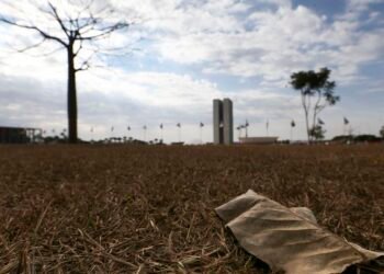 Oito estados e DF têm alerta de grande perigo para baixa umidade
