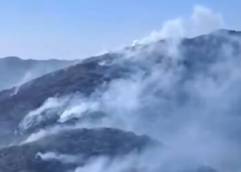 Governo investiga mais de 20 pessoas por incêndios florestais no Rio