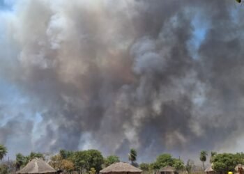 Indígenas de MT lutam por sobrevivência após um mês de queimadas