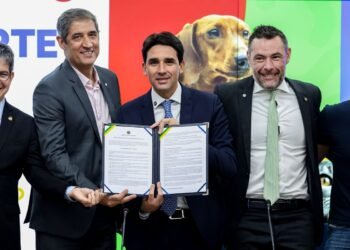 Governo anuncia novas regras para transporte aéreo de pets