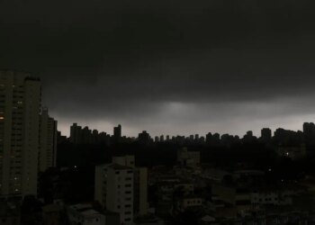 Temporal em SP derruba árvores e deixa moradores sem luz