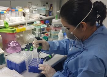 Brasil elimina elefantíase como problema de saúde pública