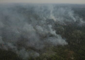 AGU cobra R$ 89 milhões de acusados de causar queimadas na Amazônia