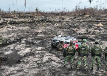 Presos dois suspeitos de provocar incêndios na Amazônia