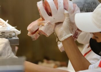 EUA diminuem burocracia para comprar pescados brasileiros