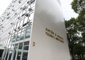 MAPA diz que Brasil tem legislação rigorosa com empresas europeias