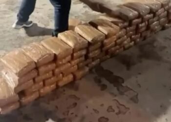 Operação policial na Bahia e mais 3 estados encontra 200 kg de cocaína