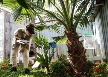 Prevenção de dengue deve ir além de mensagens sobre hábitos e cuidados