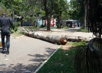 SP: após apagão, bares e restaurantes pedem mais prazo para impostos