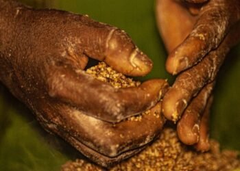 Brasil e Colômbia vão lançar programa para comunidades quilombolas