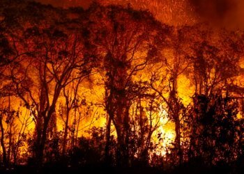 PF investiga incêndios criminosos no Pantanal