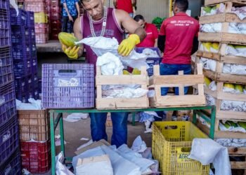 CCJ do Senado aprova redução de imposto para mercados doarem alimentos