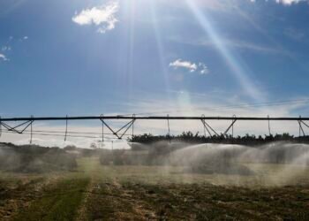 Reposição de estoque do Aquífero Guarani é insuficiente, mostra estudo