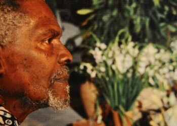 Mostra de Cinema Negro Zózimo Bulbul comemora 17 anos