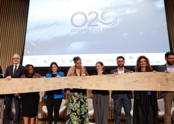 Oceans 20: grupo pede ao G20 gestão sustentável dos oceanos
