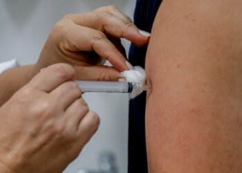 Especialistas pedem mais vacinação contra aumento da dengue no verão