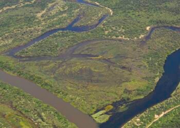 Maior parte da Mata Atlântica tem menos de 30% de vegetação nativa