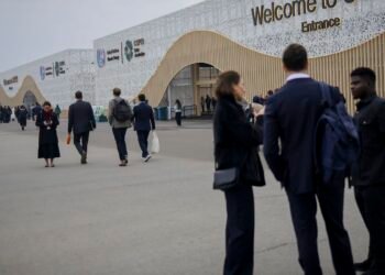 “Difícil experiência”, diz Marina sobre a COP29, em discurso final