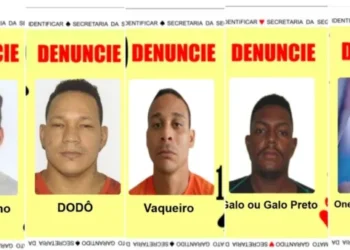 Baralho do Crime ganha 5 novas caras