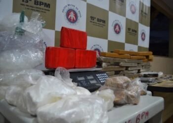 Oito toneladas de drogas são apreendidas na Bahia