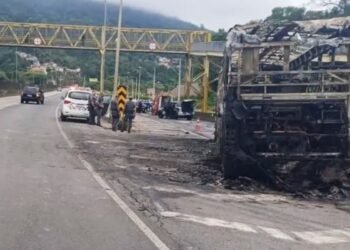 Operação da Polícia Civil mira seis torcedores da Mancha Alvi Verde