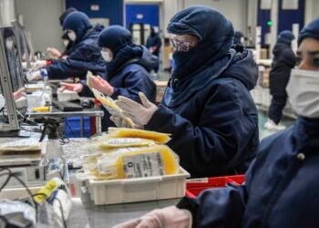 Coleta de plasma bate recorde em dez meses de 2024, diz Hemobrás