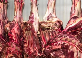 China abre investigação sobre importação de carne bovina