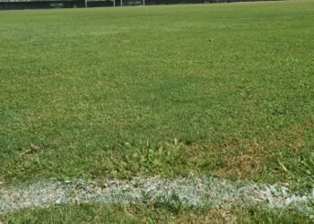 Sudesb promove simpósio sobre novas tecnologias para cultivo e conservação do solo de campos de futebol
