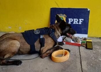 PRF prende suspeitos e apreende cigarros eletrônicos, drogas, notebooks e smartphones na Bahia