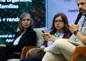 Produto da Amazônia precisa agregar valor na região, diz especialista