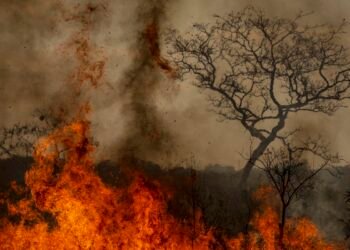 Desastres climáticos aumentaram 250% nos últimos quatro anos no país