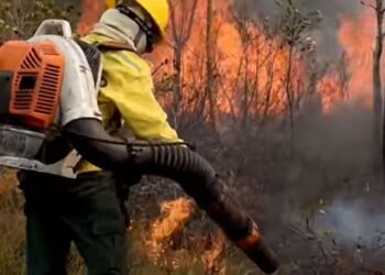 Caminhos da Reportagem conquista Prêmio ARI Banrisul de Jornalismo