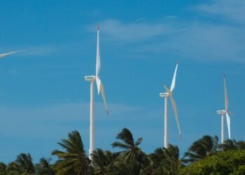 Brasil bate recorde de geração de energia eólica em novembro