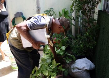 Dengue: maior preocupação do governo é com a Região Sudeste