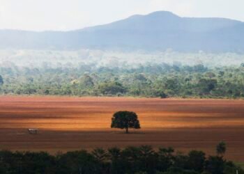 Saída dos EUA do Acordo de Paris deve ser efetivada somente em 2026