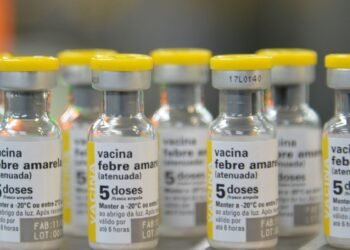 São Paulo confirma primeiro caso de febre amarela em humano em 2025