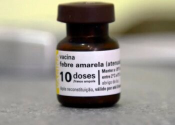 SP já tem mais mortes por febre amarela neste ano do que em todo 2024