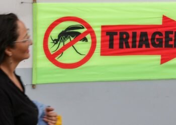 Entenda o que são sorotipos da dengue e por que o tipo 3 preocupa