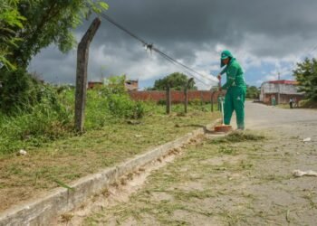 SEMAN intensifica serviços de capinação e roçagem como parte das metas para os primeiros 100 dias de gestão – Prefeitura Municipal de Candeias.