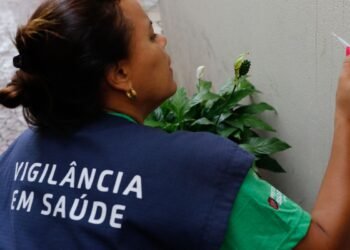 Casos de dengue em 2024 passam de 6,4 milhões; mortes somam 5,9 mil