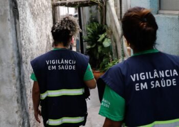 Dengue: 21 cidades paulistas decretam situação de emergência