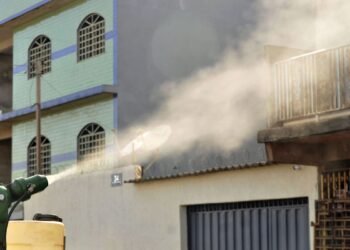 Vacina contra chikungunya mantém anticorpos após 1 ano de aplicação